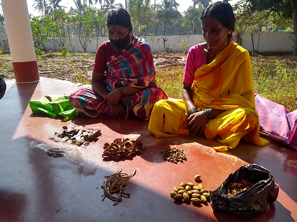 Solega Women share their forest seeds